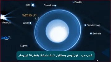 قمر جديد.. أورانوس يستقبل تابعًا ضخمًا بقطر 10 كيلومتر